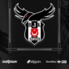 Beşiktaş Esports Yarı Finalde