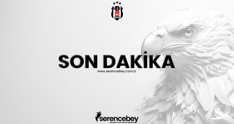 Beşiktaş usulsüz üyelikleri iptal etti!