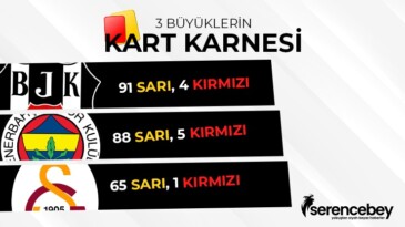 3 büyüklerin kart karnesi